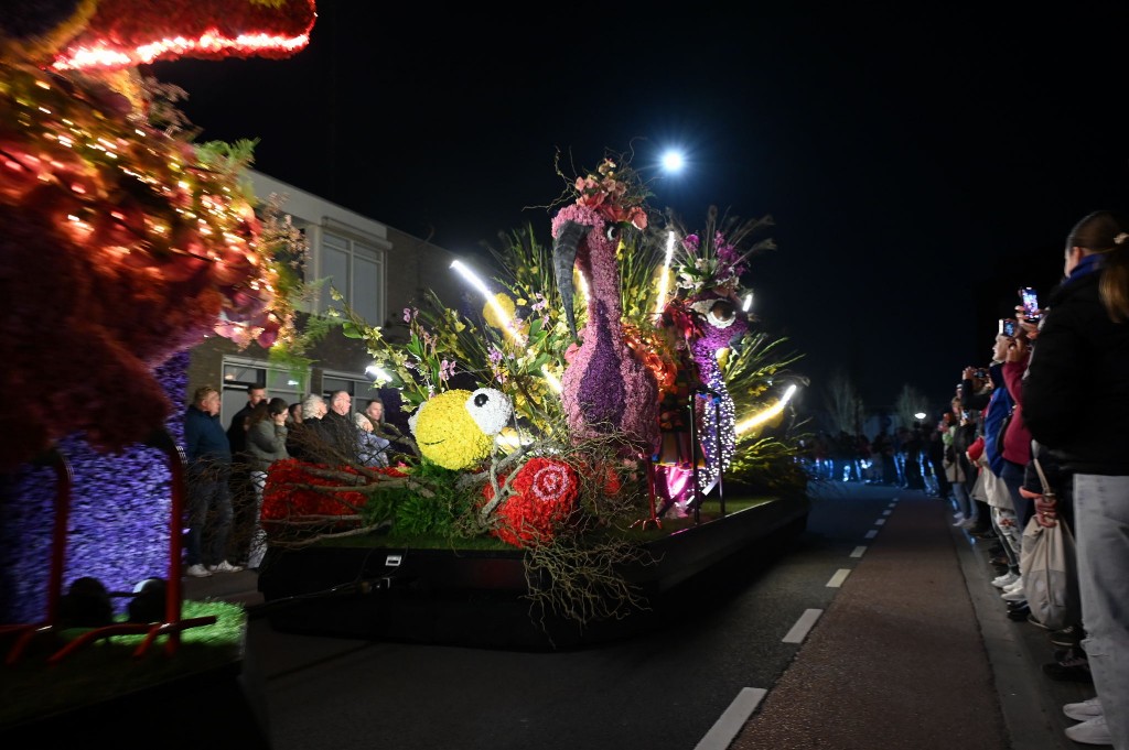 ../Images/Verlicht bloemencorso 2025 150.jpg